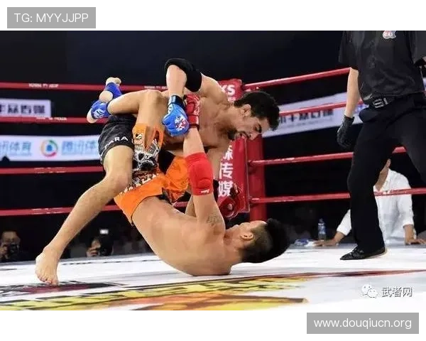 斗球体育苹果版下载完整流程,帮助新手用户顺利下载安装并开启体育盛宴