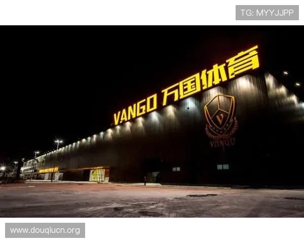 斗球网在青少年体育教育中的推广与普及策略